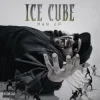 Ice Cube - Freedumb