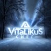 ViTaLiKuS - Снег