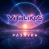 Cover ViTaLiKuS - Разлука (Radio Remix) ViTaLiKuS - Разлука (Radio Remix)