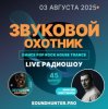 Cover Звуковой Охотник - Радиошоу Выпуск #45 Звуковой Охотник - Радиошоу Выпуск #45