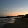 DJ Calypso - Waiting for Summer 2026