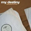 Cover Delinquent & KCAT & Mike Delinquent Project - My Destiny (Slowed) Delinquent & KCAT & Mike Delinquent Project - My Destiny (Slowed)