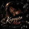 Cover R3phase - Кароока Моя R3phase - Кароока Моя