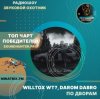 Cover WILLTOX WT?, Darom Dabro - По дворам WILLTOX WT?, Darom Dabro - По дворам
