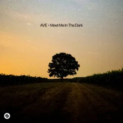 Cover AVE - Meet Me In The Dark