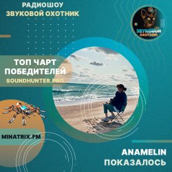 Cover Anamelin - Показалось