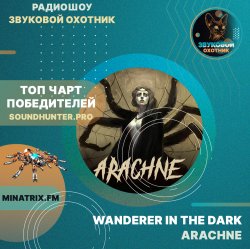Cover Wanderer In The Dark - Arachne
