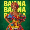 Dj Dark - Baiana