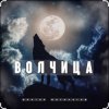 Виктор Могилатов - Волчица