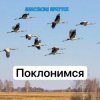 Cover Анастасия Иркутск - Поклонимся Анастасия Иркутск - Поклонимся