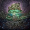 Cover GABBГ - Mycelium Protocol GABBГ - Mycelium Protocol