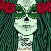 Shiny Radio - Read My Lips (Original Mix)