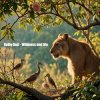 Cover Dolby D&G - Wildness and life Dolby D&G - Wildness and life