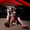 Lady XO - BEAT THE ODDS