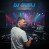Cover DJ GUSLI - This Beautiful Place DJ GUSLI - This Beautiful Place
