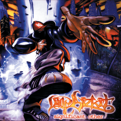 Cover Limp Bizkit - Dont Go Off Wandering