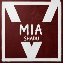 Cover SHADU - Imma say