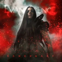 Cover Evanescence - Calm Down