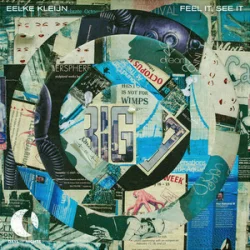 Cover Eelke Kleijn - Feel It, See It