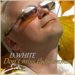Cover Don't Miss the Summer