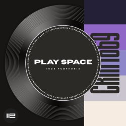Cover Igor Pumphonia - Play Space