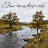 Cover Калымщик - Thin mountain ash Калымщик - Thin mountain ash