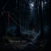 Ведьмина гора - Чёрный лес