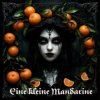 Cover DJ Katya Kadykov - Eine kleine Mandarine DJ Katya Kadykov - Eine kleine Mandarine