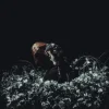 Kami Kehoe - THE END