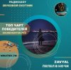 ZAVYAL - Пепел в ночи