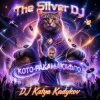 Cover DJ Katya Kadykov - Кото - Ракамакафло DJ Katya Kadykov - Кото - Ракамакафло