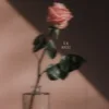 Cover Mia Martina - Tu Me Manques Mia Martina - Tu Me Manques
