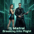 Cover Dj Mistral - Breaking into Flight