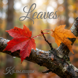 Cover Калымщик - Leaves