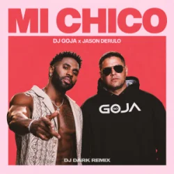 Cover Dj Goja & Jason Derulo - Mi Chico (Dj Dark Remix)