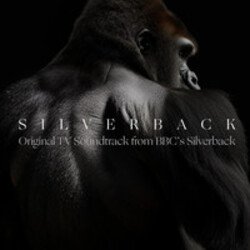 Cover Silverback - Aventador