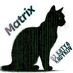 Cover DJ Katya Kadykov - Matrix (minatrix_edition)