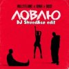Cover HOLLYFLAME_IOWA_RogerM - Ловлю (DJ Shved&co blend) HOLLYFLAME_IOWA_RogerM - Ловлю (DJ Shved&co blend)