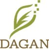 Cover Dagan - Focused Dagan - Focused