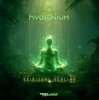 Hydronium - Hydronium Ion (Original Mix)