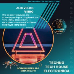 Cover Aldeveldis - Vibro