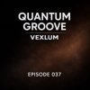 Cover Vexlum - Quantum Groove 037 Vexlum - Quantum Groove 037