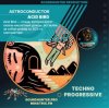 Cover Astroconductor - Acid Bird Astroconductor - Acid Bird