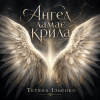 Cover Тетяна Ільєнко - Ангел ламає крила Тетяна Ільєнко - Ангел ламає крила