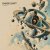 Cover ViTaLiKuS - PHASE SHIFT