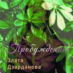 Cover Пробуждение