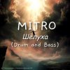 Cover MITRO - Шелуха (Drum and Bass) MITRO - Шелуха (Drum and Bass)