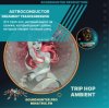 Cover Astroconductor - Dreamboy Trancegression Astroconductor - Dreamboy Trancegression