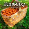 Cover Живинка - Морошка Живинка - Морошка