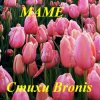 BRONIS AI - С ДНЁМ РОЖДЕНИЯ МАМА